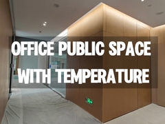 แผ่นเสียงของนักออกแบบ เพื่อให้มีคุณภาพเสียงที่ดีที่สุดและมีผลกระทบทางภาพ